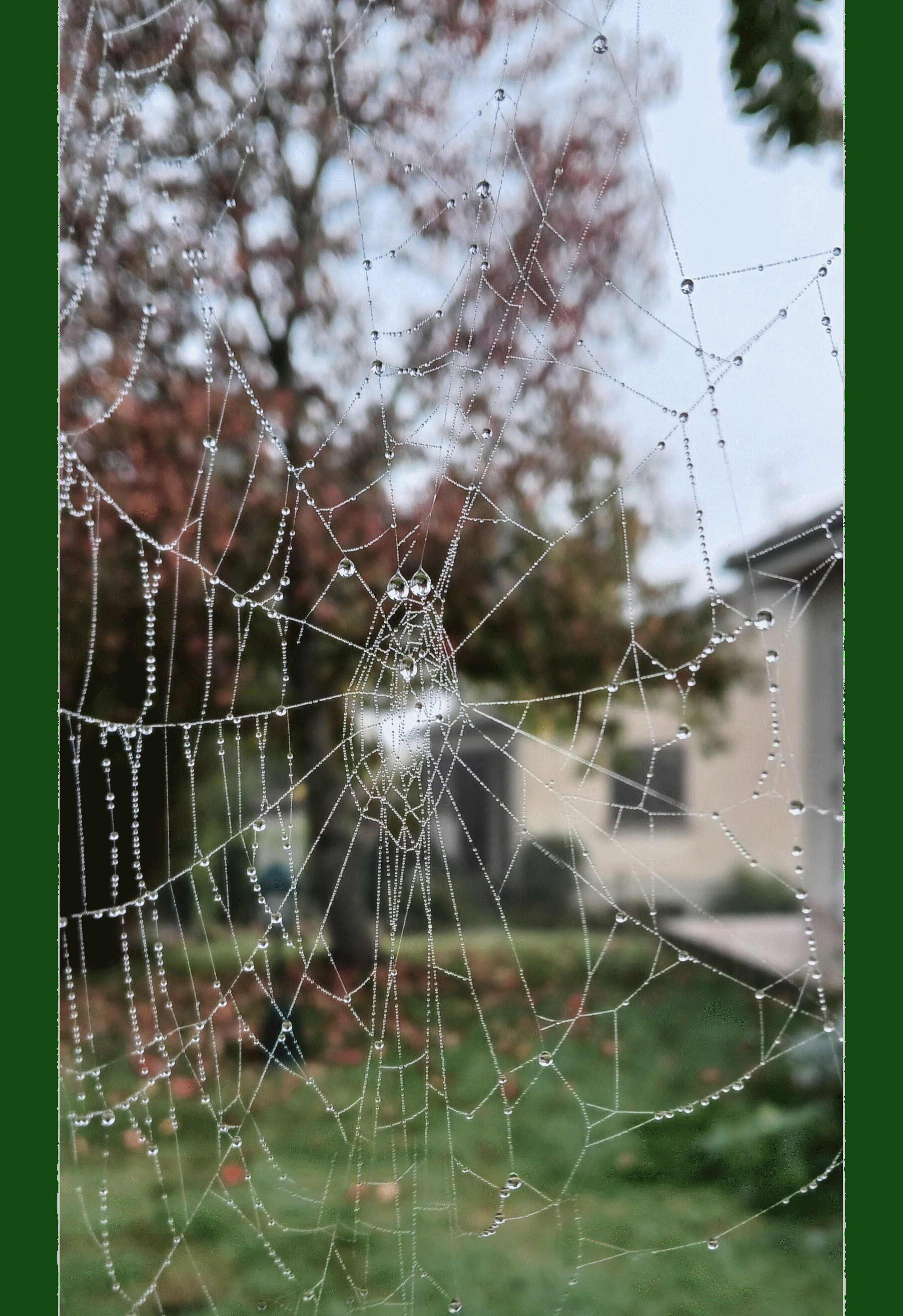 Photo-Concours