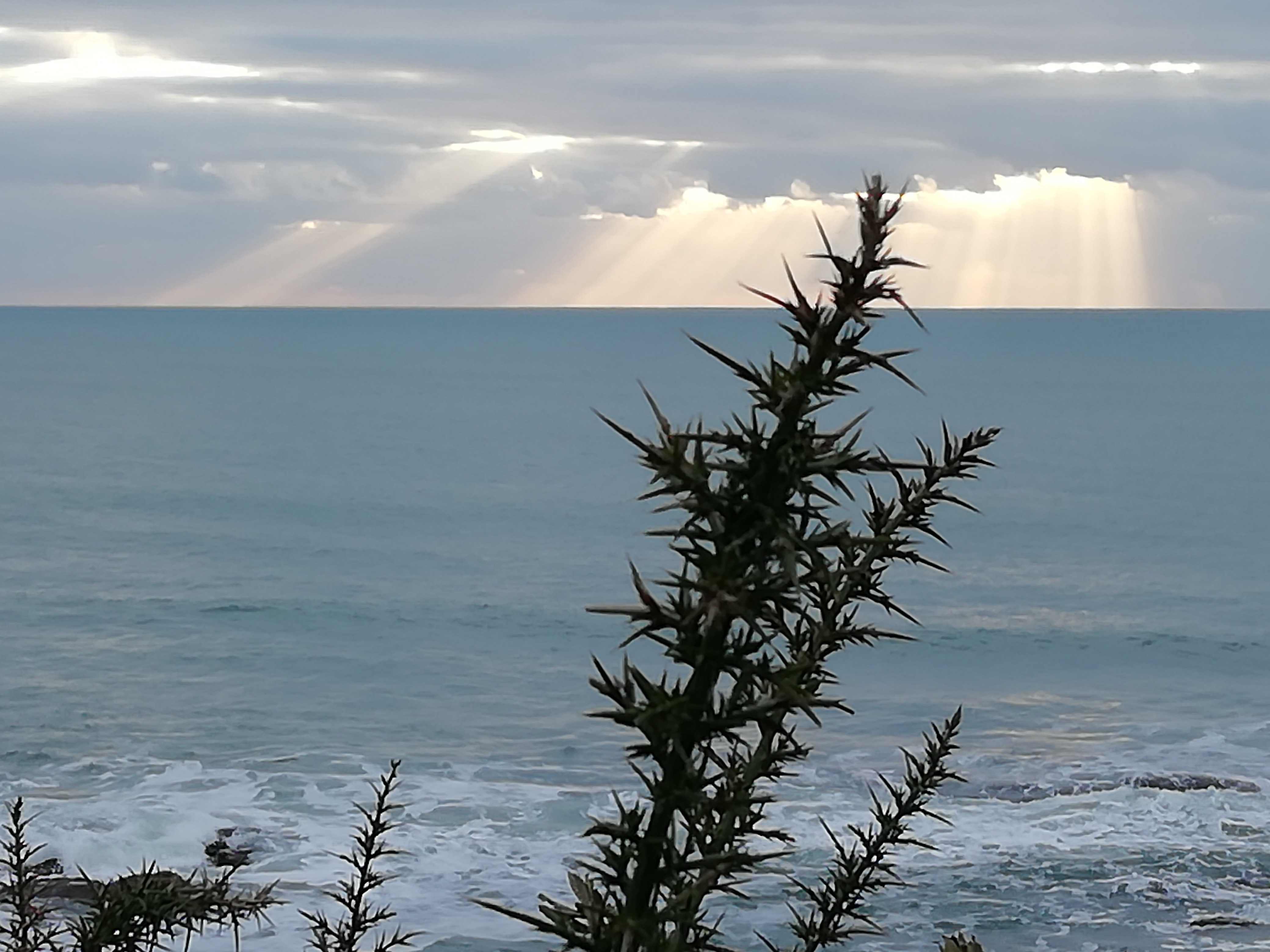 Photo-Concours