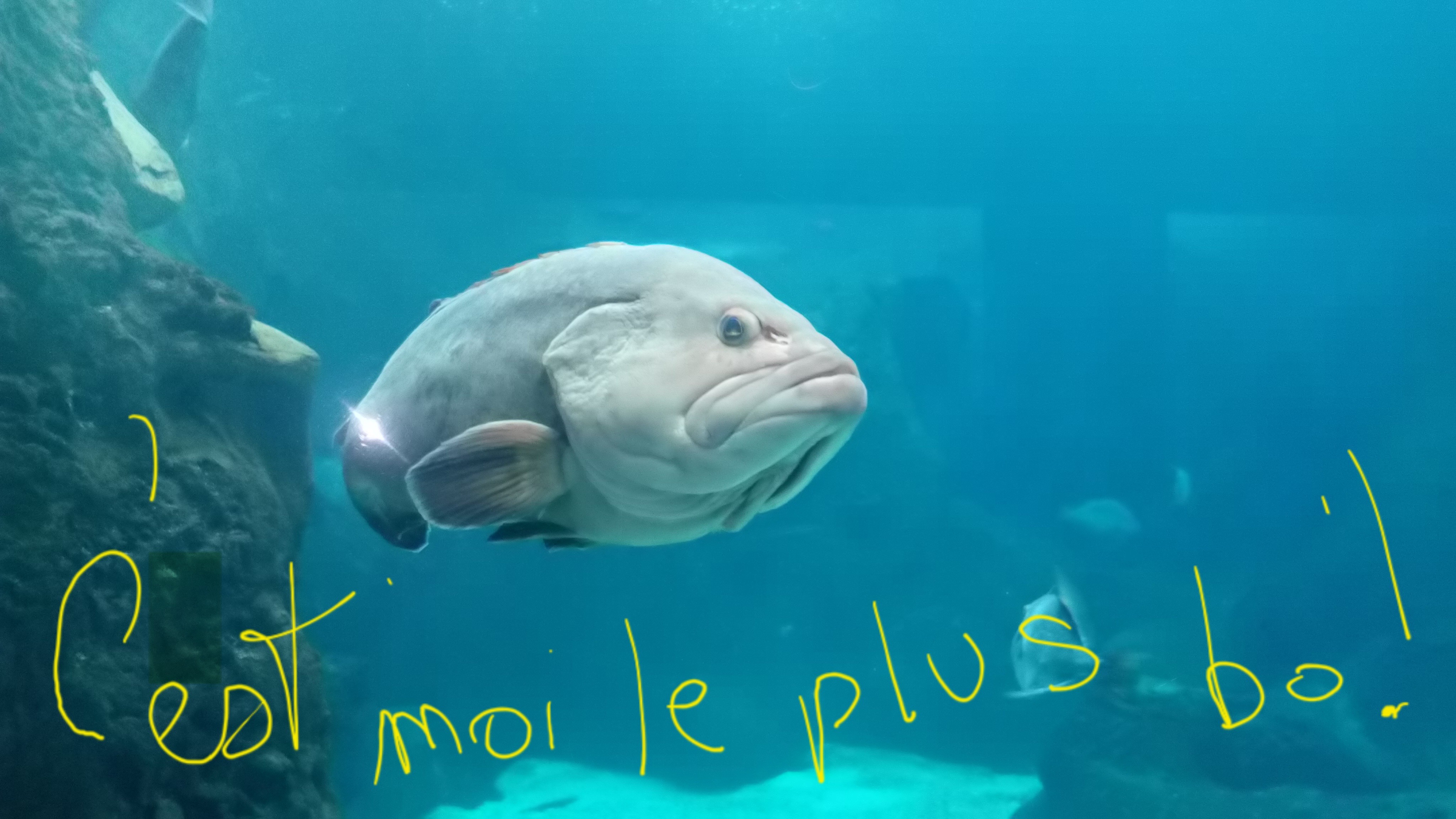 Photo-Concours
