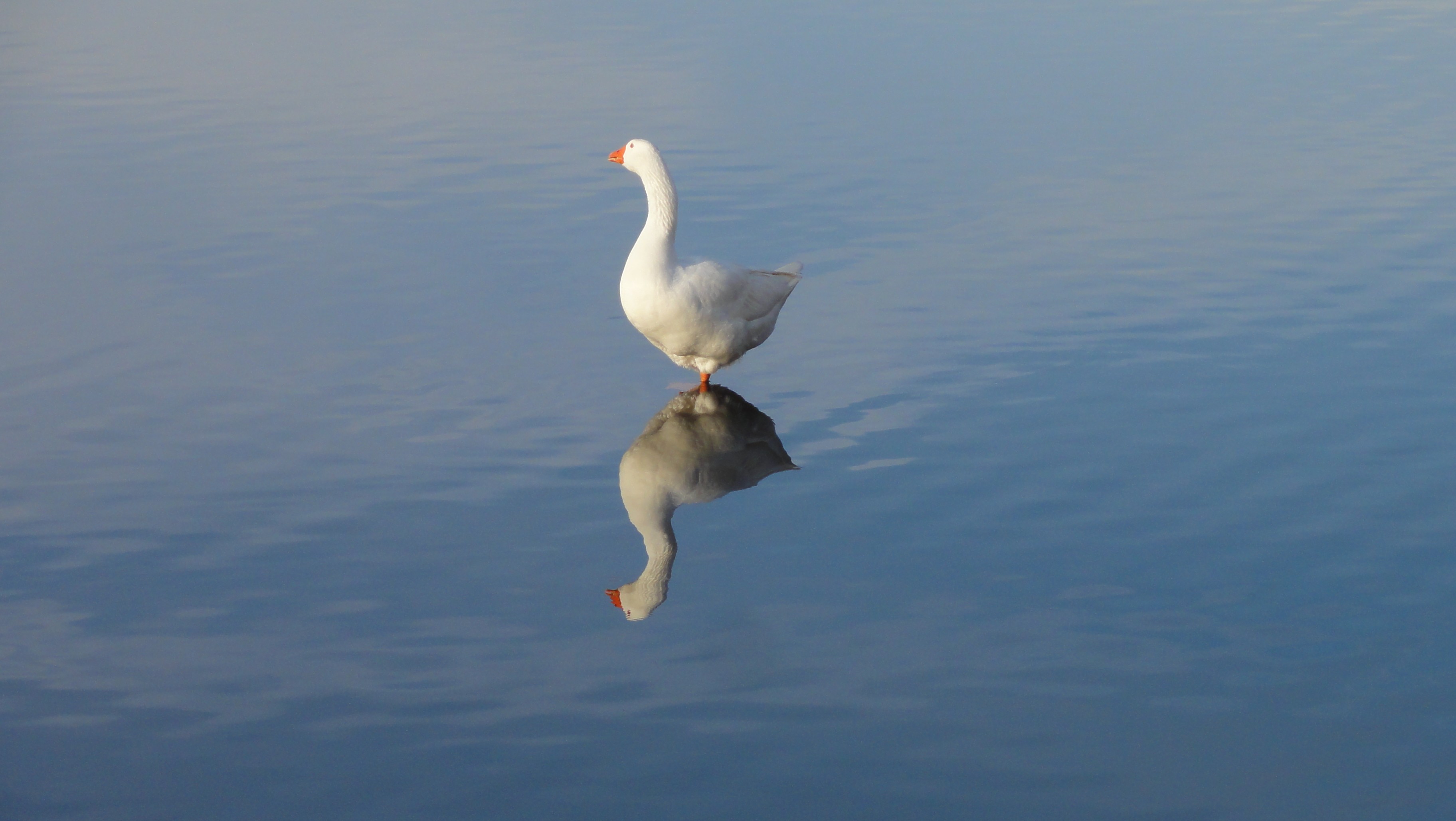 Photo-Concours