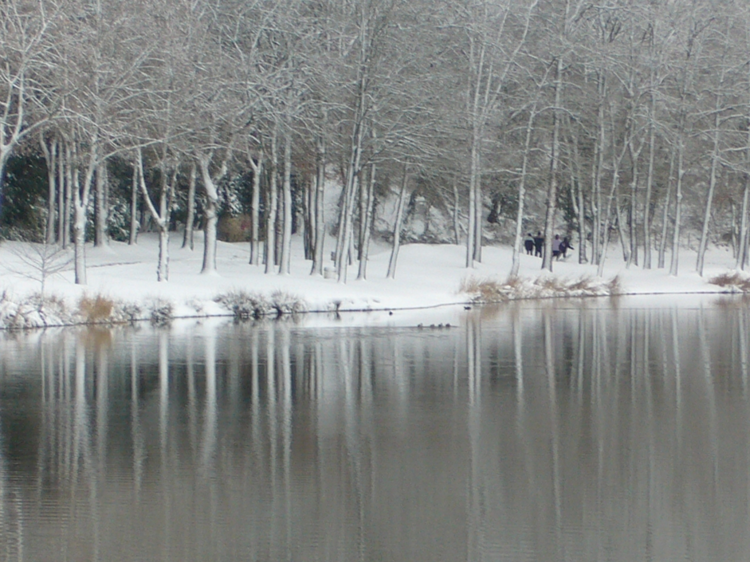 Photo-Concours