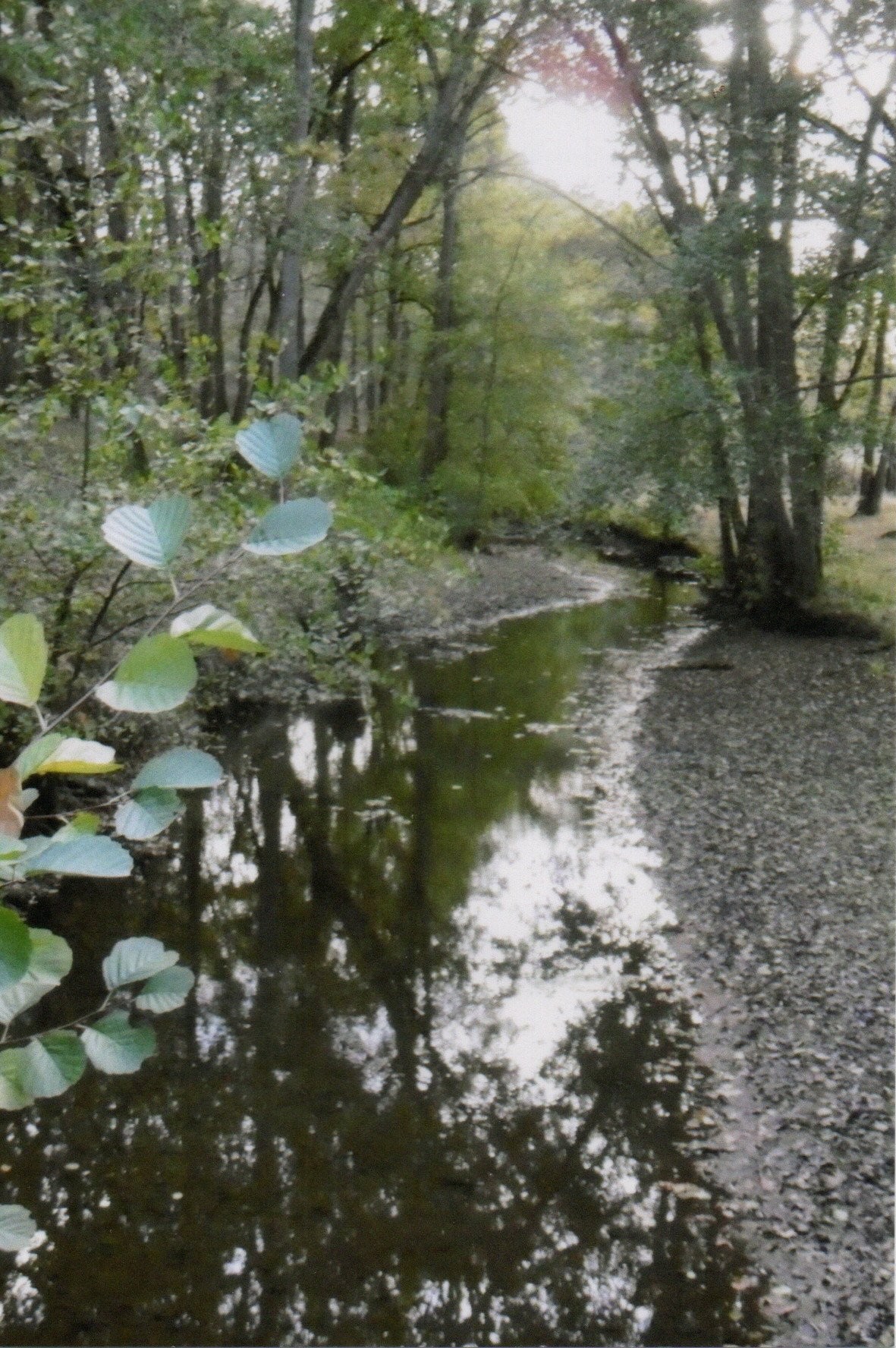 Photo-Concours